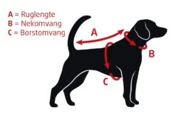 Beeztees Safety Gear Dogini - Halsband Hond - Geel - 70 Cm 5 Beeztees Safety Gear Dogini - Halsband Hond - Geel - 70 Cm -Hondenbenodigdheden BZ Hond meten NL 1000x667px 55