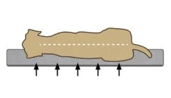 Beeztees Ito - Orthopedisch Benchkussen - Beige - 89x60x4cm 6 Beeztees Ito - Orthopedisch Benchkussen - Beige - 89x60x4cm -Hondenbenodigdheden Tekening hond memory foam BZ 1 28