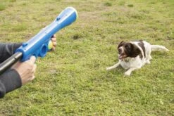 Beeztees Fetch Ballenschieter - Hondenspeelgoed - Blauw - 60x20x8cm -Hondenbenodigdheden Web 0625070 sfeer1