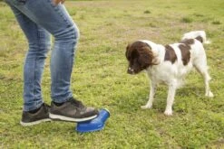 Beeztees Fetch Voet Ballenschieter - Hondenspeelgoed - Blauw - 27 Cm -Hondenbenodigdheden Web 0625072 sfeer1