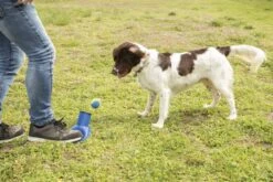 Beeztees Fetch Voet Ballenschieter - Hondenspeelgoed - Blauw - 27 Cm -Hondenbenodigdheden Web 0625072 sfeer3