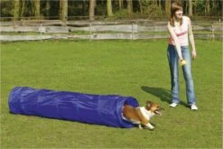 Beeztees Agility Tunnel - Hondenspeelgoed - S - 198x40x40 Cm