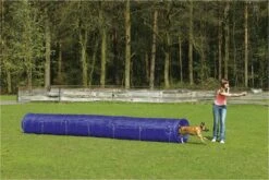 Beeztees Agility Tunnel - Hondenspeelgoed - L - 525x60x60 Cm