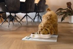 Beeztees Puppy Binky - Dinerset Hond - Plastic/RVS - Roze - 27x14x4,5 Cm - 2x 160 Ml 4 Beeztees Puppy Binky - Dinerset Hond - Plastic/RVS - Roze - 27x14x4,5 Cm - 2x 160 Ml -Hondenbenodigdheden Web 0650829 sfeer1 e1649856346325