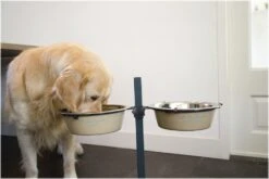 Beeztees Carte Voederstand - Dinerset Hond - 25 Cm 7 Beeztees Carte Voederstand - Dinerset Hond - 25 Cm -Hondenbenodigdheden Web 0653588 pet1