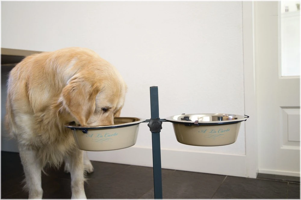 Beeztees Carte Voederstand - Dinerset Hond - 25 Cm 5 Beeztees Carte Voederstand - Dinerset Hond - 25 Cm - Afbeelding 3