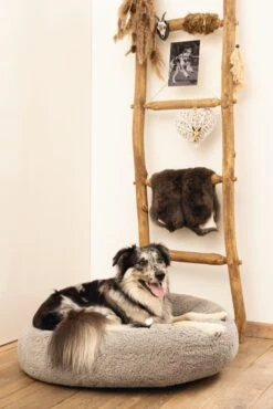 Beeztees Jaxx - Orthopedische Hondenmand - Grijs - 60x60x25 Cm -Hondenbenodigdheden Web 0707393 sfeer1