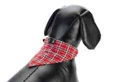 Beeztees Halsband + Doekje - Hondenhalsband - Leer - Zwart - 62 Cm -Hondenbenodigdheden Web 0735115 det1