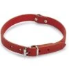 Beeztees - Halsband Hond - Leer - Rood - 43-52 Cm X 20 Mm 1 Beeztees - Halsband Hond - Leer - Rood - 43-52 Cm X 20 Mm -Hondenbenodigdheden Web 0735307
