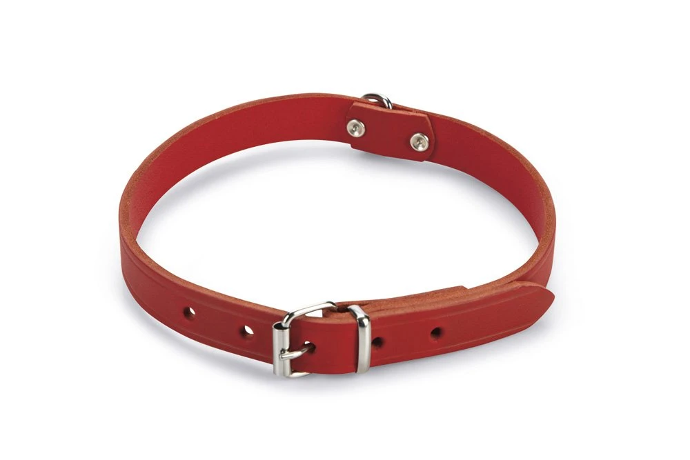 Beeztees - Halsband Hond - Leer - Rood - 43-52 Cm X 20 Mm 3 Beeztees - Halsband Hond - Leer - Rood - 43-52 Cm X 20 Mm