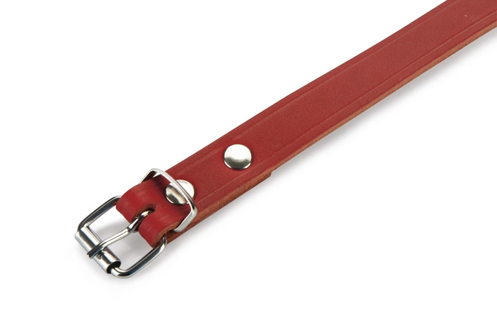 Beeztees - Halsband Hond - Leer - Rood - 43-52 Cm X 20 Mm 4 Beeztees - Halsband Hond - Leer - Rood - 43-52 Cm X 20 Mm - Afbeelding 2