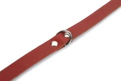 Beeztees - Halsband Hond - Leer - Rood - 43-52 Cm X 20 Mm 9 Beeztees - Halsband Hond - Leer - Rood - 43-52 Cm X 20 Mm -Hondenbenodigdheden Web 0735307 det2