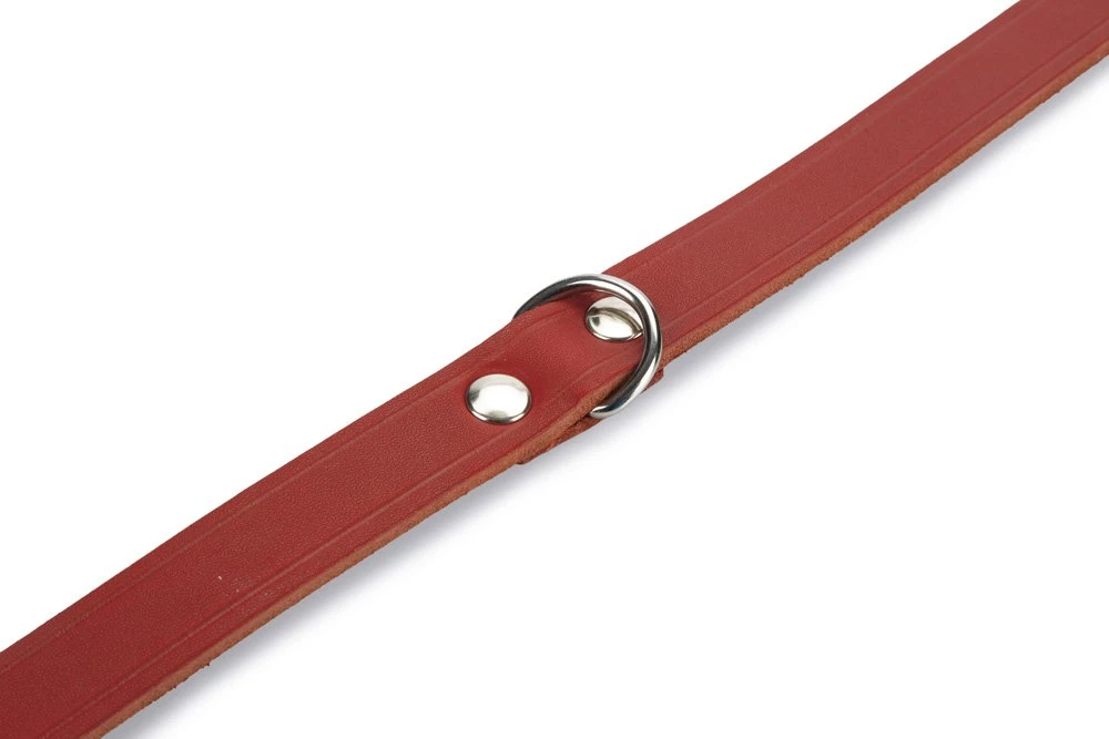 Beeztees - Halsband Hond - Leer - Rood - 43-52 Cm X 20 Mm 5 Beeztees - Halsband Hond - Leer - Rood - 43-52 Cm X 20 Mm - Afbeelding 3