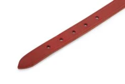 Beeztees - Halsband Hond - Leer - Rood - 43-52 Cm X 20 Mm 10 Beeztees - Halsband Hond - Leer - Rood - 43-52 Cm X 20 Mm -Hondenbenodigdheden Web 0735307 det3