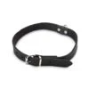 Beeztees - Halsband Hond - Leer - Zwart - 43-52 Cm X 20 Mm 1 Beeztees - Halsband Hond - Leer - Zwart - 43-52 Cm X 20 Mm -Hondenbenodigdheden Web 0735317