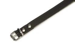 Beeztees - Halsband Hond - Leer - Zwart - 43-52 Cm X 20 Mm -Hondenbenodigdheden Web 0735317 det1