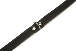 Beeztees - Halsband Hond - Leer - Zwart - 43-52 Cm X 20 Mm -Hondenbenodigdheden Web 0735317 det2