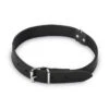 Beeztees - Halsband Hond - Leer - Zwart - 47-57 Cm X 25 Mm 1 Beeztees - Halsband Hond - Leer - Zwart - 47-57 Cm X 25 Mm -Hondenbenodigdheden Web 0735318