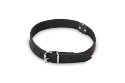Beeztees - Halsband Hond - Leer - Zwart - 47-57 Cm X 25 Mm