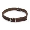 Beeztees - Halsband Hond - Leer - Bruin - 43-52 Cm X 20 Mm -Hondenbenodigdheden Web 0735347