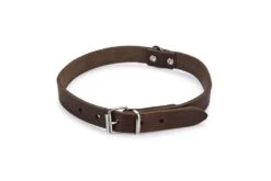 Beeztees - Halsband Hond - Leer - Bruin - 43-52 Cm X 20 Mm