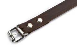 Beeztees - Halsband Hond - Leer - Bruin - 43-52 Cm X 20 Mm -Hondenbenodigdheden Web 0735347 det3