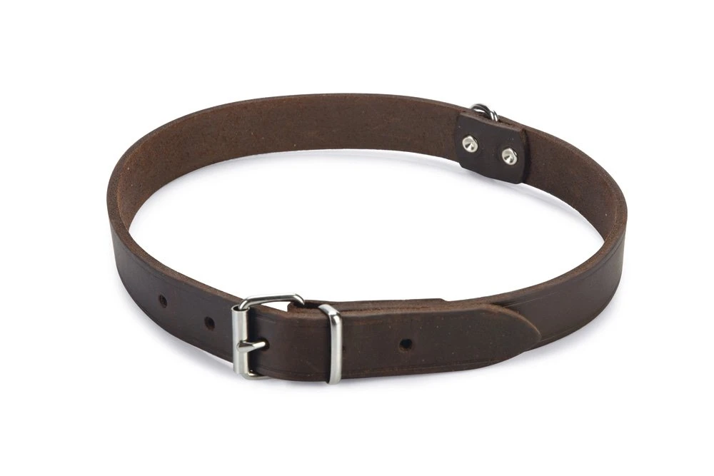 Beeztees - Halsband Hond - Leer - Bruin - 55-65 Cm X 25 Mm 3 Beeztees - Halsband Hond - Leer - Bruin - 55-65 Cm X 25 Mm
