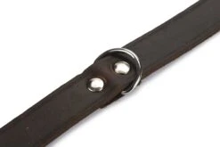 Beeztees - Halsband Hond - Leer - Bruin - 55-65 Cm X 25 Mm 9 Beeztees - Halsband Hond - Leer - Bruin - 55-65 Cm X 25 Mm -Hondenbenodigdheden Web 0735349 det2