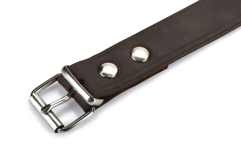 Beeztees - Halsband Hond - Leer - Bruin - 55-65 Cm X 25 Mm 6 Beeztees - Halsband Hond - Leer - Bruin - 55-65 Cm X 25 Mm - Afbeelding 4