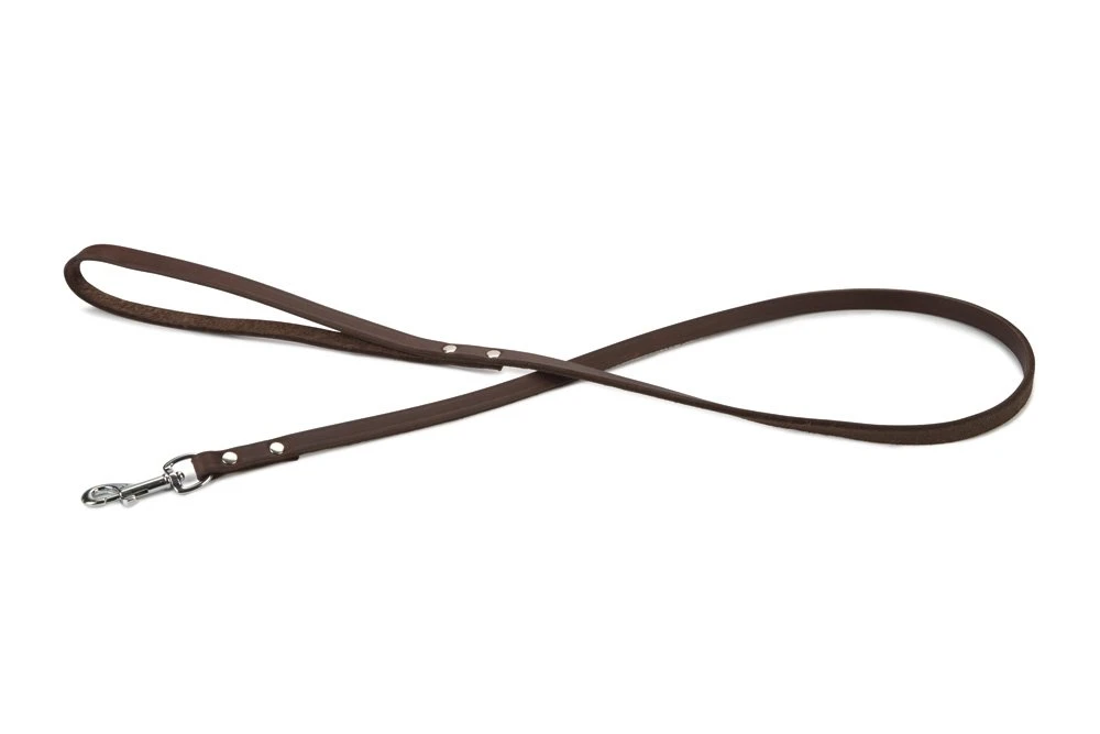 Beeztees - Hondenriem - Geniet - Bruin - 100x10 Cm 3 Beeztees - Hondenriem - Geniet - Bruin - 100x10 Cm