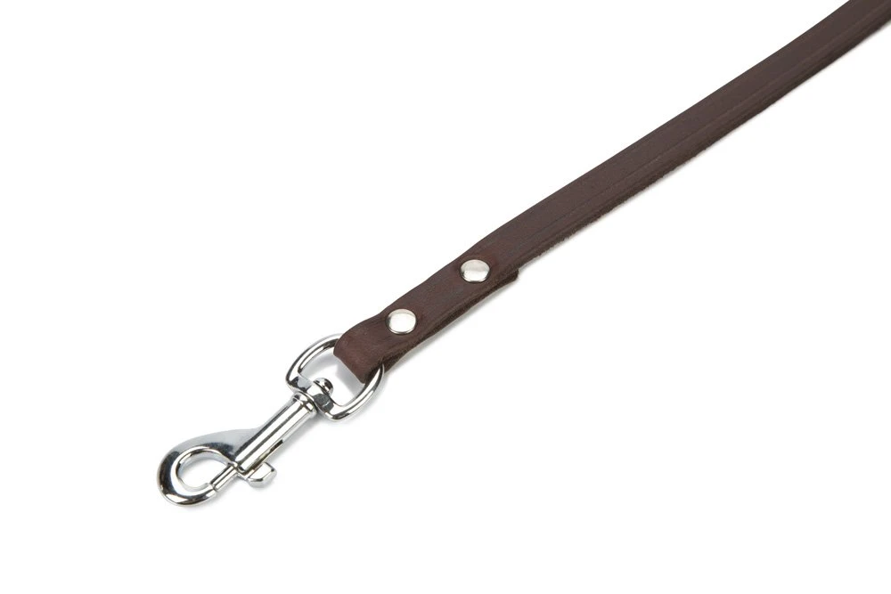 Beeztees - Hondenriem - Geniet - Bruin - 100x10 Cm 4 Beeztees - Hondenriem - Geniet - Bruin - 100x10 Cm - Afbeelding 2