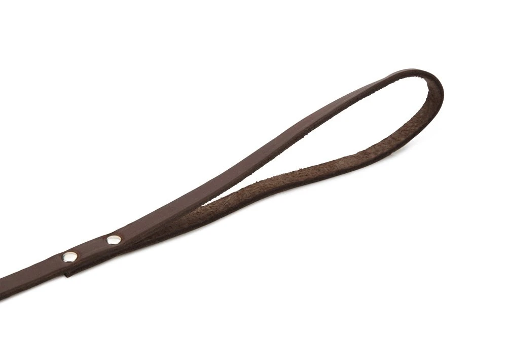 Beeztees - Hondenriem - Geniet - Bruin - 100x10 Cm 5 Beeztees - Hondenriem - Geniet - Bruin - 100x10 Cm - Afbeelding 3