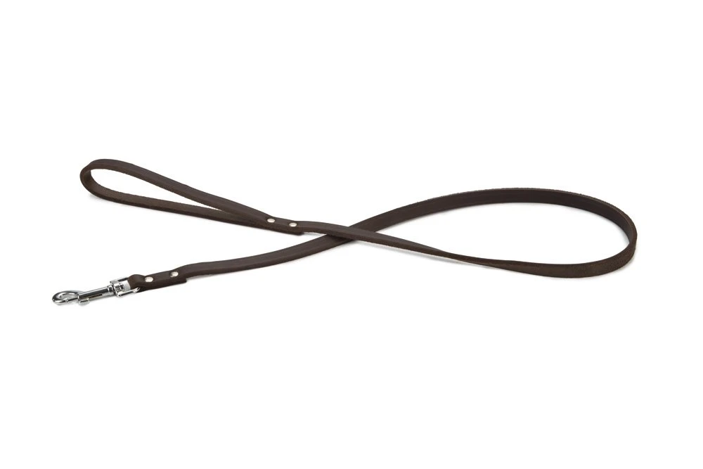 Beeztees - Hondenriem - Geniet - Bruin - 100x12 Cm 2 Beeztees - Hondenriem - Geniet - Bruin - 100x12 Cm