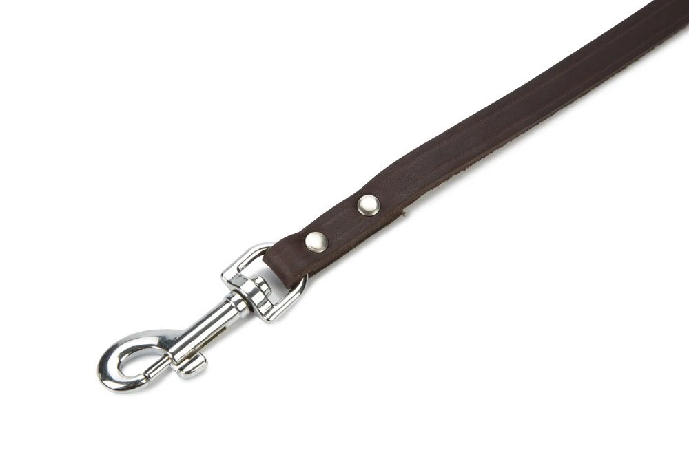 Beeztees - Hondenriem - Geniet - Bruin - 100x12 Cm 3 Beeztees - Hondenriem - Geniet - Bruin - 100x12 Cm - Afbeelding 2