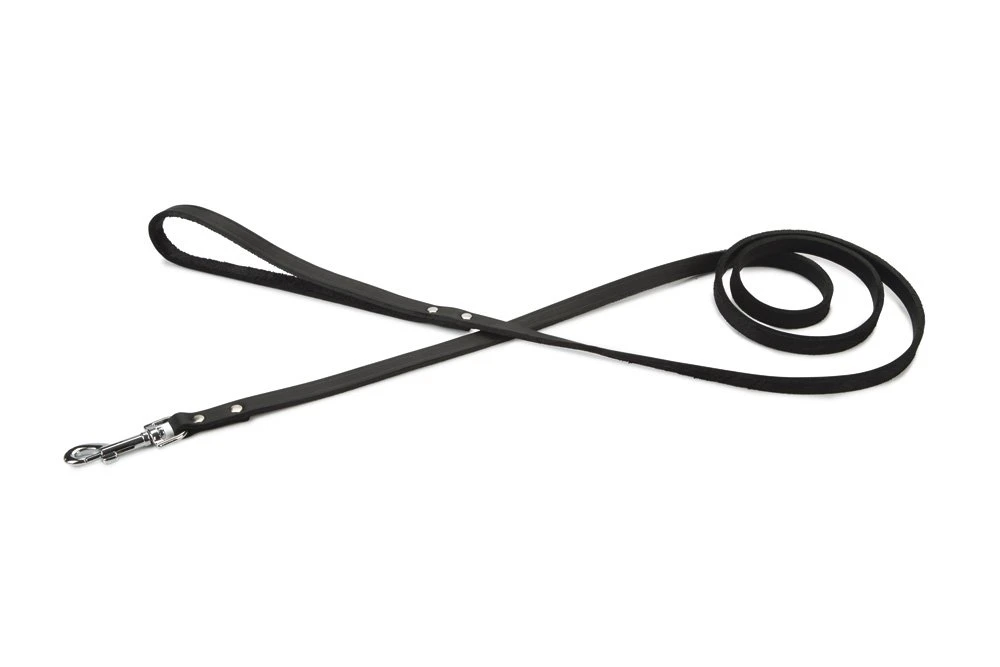 Beeztees - Hondenriem - Geniet - Zwart - 165x12 Cm 3 Beeztees - Hondenriem - Geniet - Zwart - 165x12 Cm