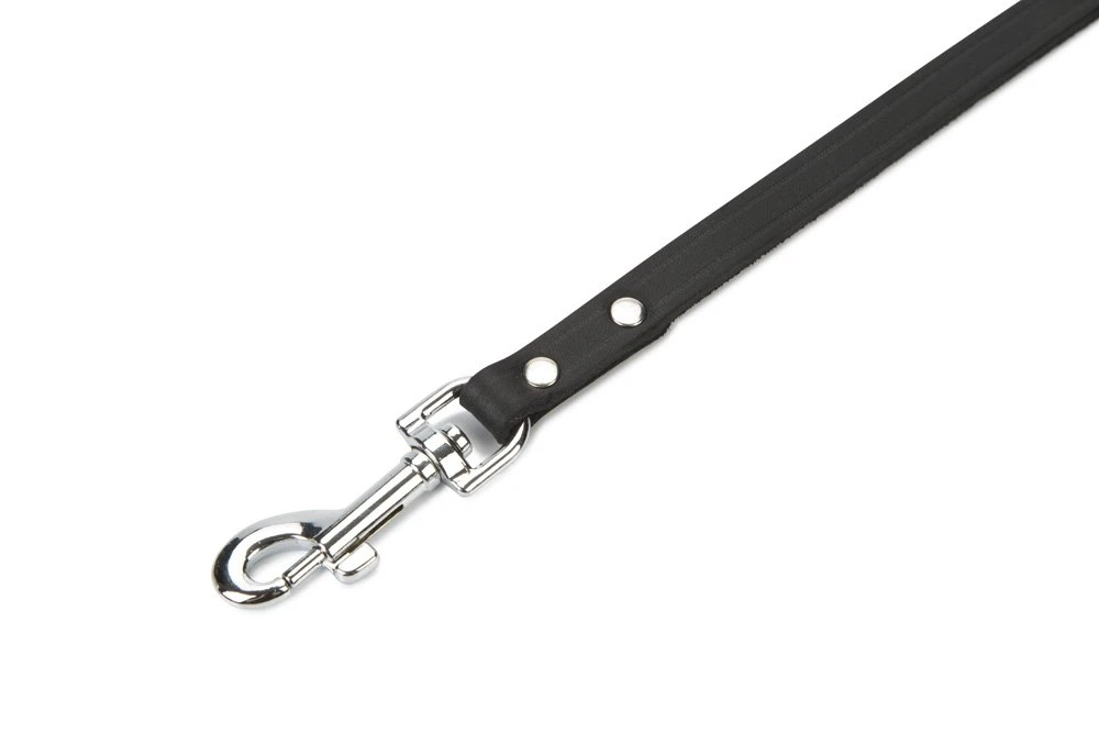 Beeztees - Hondenriem - Geniet - Zwart - 165x12 Cm 4 Beeztees - Hondenriem - Geniet - Zwart - 165x12 Cm - Afbeelding 2