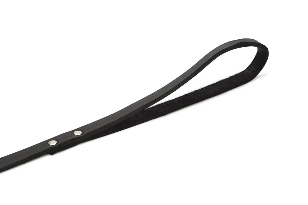 Beeztees - Hondenriem - Geniet - Zwart - 165x12 Cm 5 Beeztees - Hondenriem - Geniet - Zwart - 165x12 Cm - Afbeelding 3