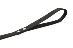 Beeztees - Hondenriem - Geniet - Zwart - 165x16 Cm -Hondenbenodigdheden Web 0736355 det2