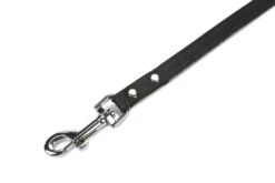 Beeztees - Hondenriem - Geniet - Zwart - 200x12 Cm -Hondenbenodigdheden Web 0736357 det1