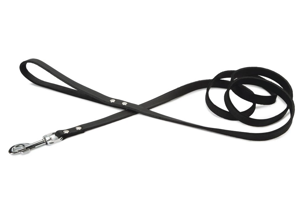 Beeztees - Hondenriem - Geniet - Zwart - 200x16 Cm 3 Beeztees - Hondenriem - Geniet - Zwart - 200x16 Cm