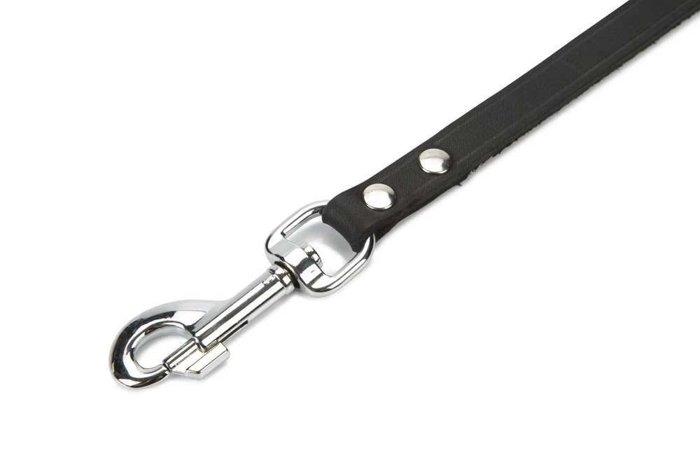 Beeztees - Hondenriem - Geniet - Zwart - 200x16 Cm 4 Beeztees - Hondenriem - Geniet - Zwart - 200x16 Cm - Afbeelding 2