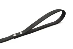 Beeztees - Hondenriem - Geniet - Zwart - 200x16 Cm 7 Beeztees - Hondenriem - Geniet - Zwart - 200x16 Cm -Hondenbenodigdheden Web 0736358 det2