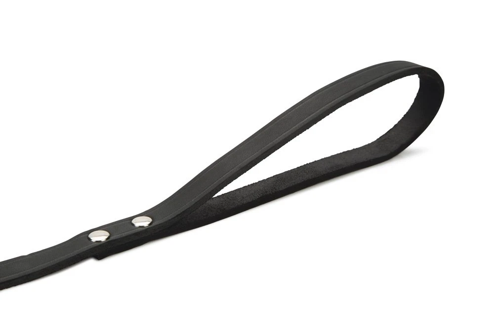 Beeztees - Hondenriem - Geniet - Zwart - 200x16 Cm 5 Beeztees - Hondenriem - Geniet - Zwart - 200x16 Cm - Afbeelding 3