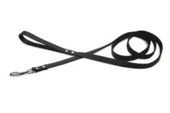 Beeztees - Hondenriem - Geniet - Zwart - 200x20 Cm