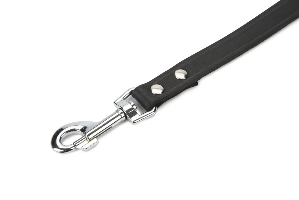 Beeztees - Hondenriem - Geniet - Zwart - 200x20 Cm 4 Beeztees - Hondenriem - Geniet - Zwart - 200x20 Cm - Afbeelding 2