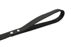 Beeztees - Hondenriem - Geniet - Zwart - 200x20 Cm 7 Beeztees - Hondenriem - Geniet - Zwart - 200x20 Cm -Hondenbenodigdheden Web 0736359 det2