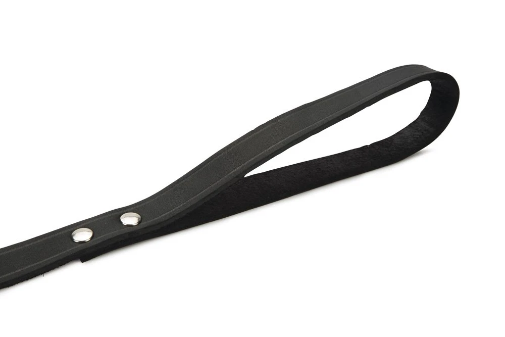 Beeztees - Hondenriem - Geniet - Zwart - 200x20 Cm 5 Beeztees - Hondenriem - Geniet - Zwart - 200x20 Cm - Afbeelding 3