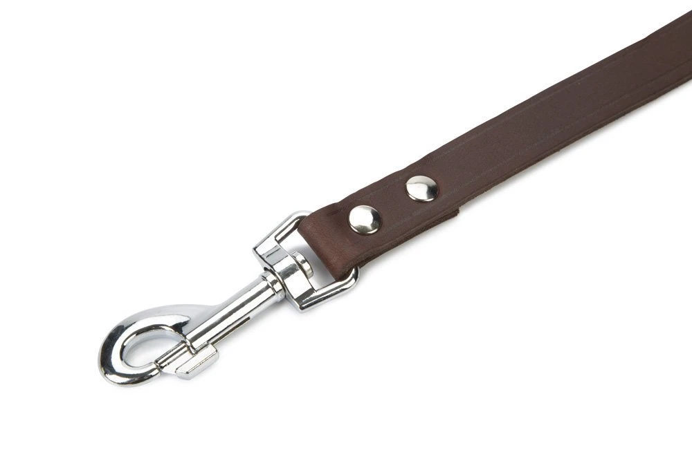 Beeztees - Hondenriem - Geniet - Bruin - 130x20 Cm 4 Beeztees - Hondenriem - Geniet - Bruin - 130x20 Cm - Afbeelding 2