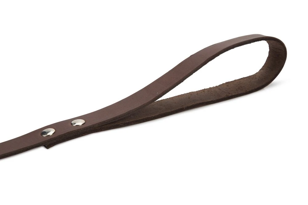 Beeztees - Hondenriem - Geniet - Bruin - 130x20 Cm 5 Beeztees - Hondenriem - Geniet - Bruin - 130x20 Cm - Afbeelding 3