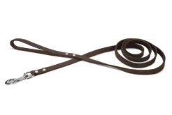 Beeztees - Hondenriem - Geniet - Bruin - 200x16 Cm